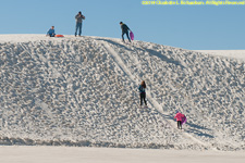 sledding on dune